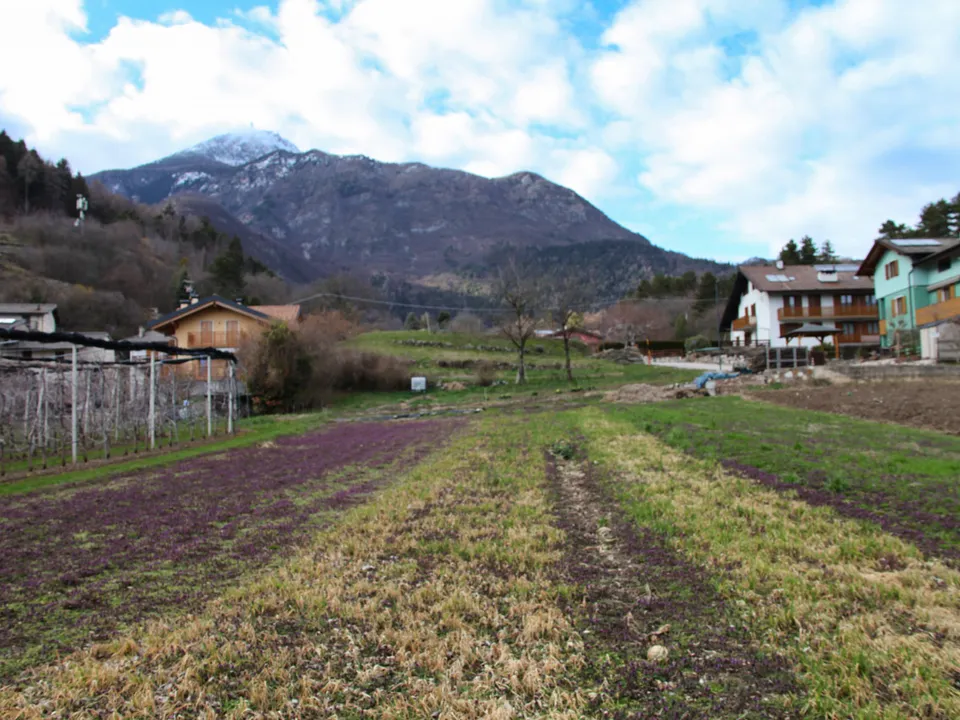 Helårsgrund i Trento, Trento - foto 3
