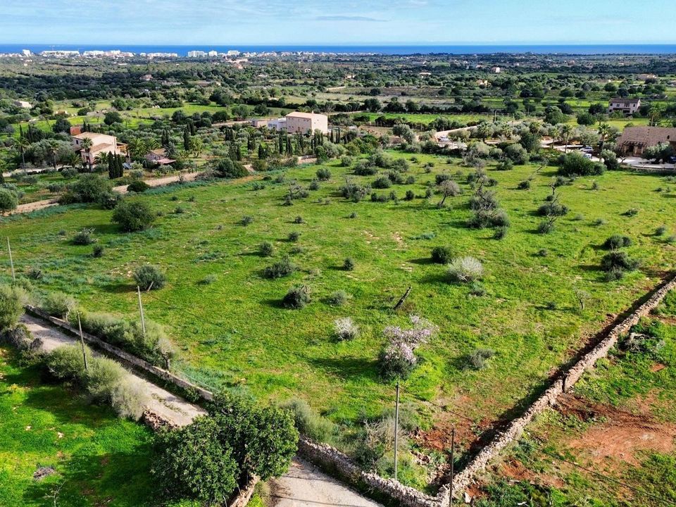 Helårsgrund i Son Carrio, Mallorca - foto 5