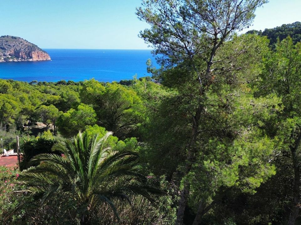 Helårsgrund i Canyamel, Mallorca - foto 2