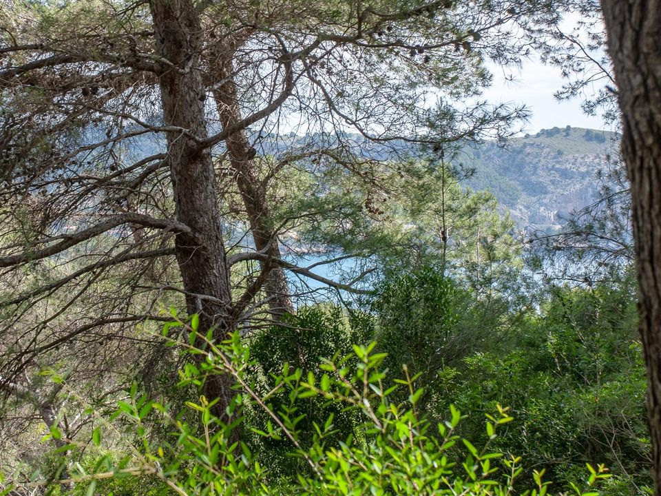 Helårsgrund i Canyamel, Mallorca - foto 3