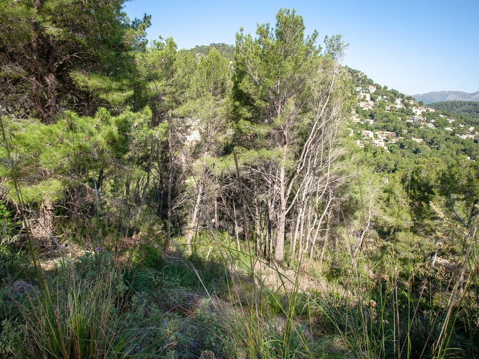 Helårsgrund i Canyamel, Mallorca - foto 5