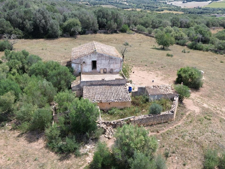 Helårsgrund i Manacor, Mallorca - foto 3
