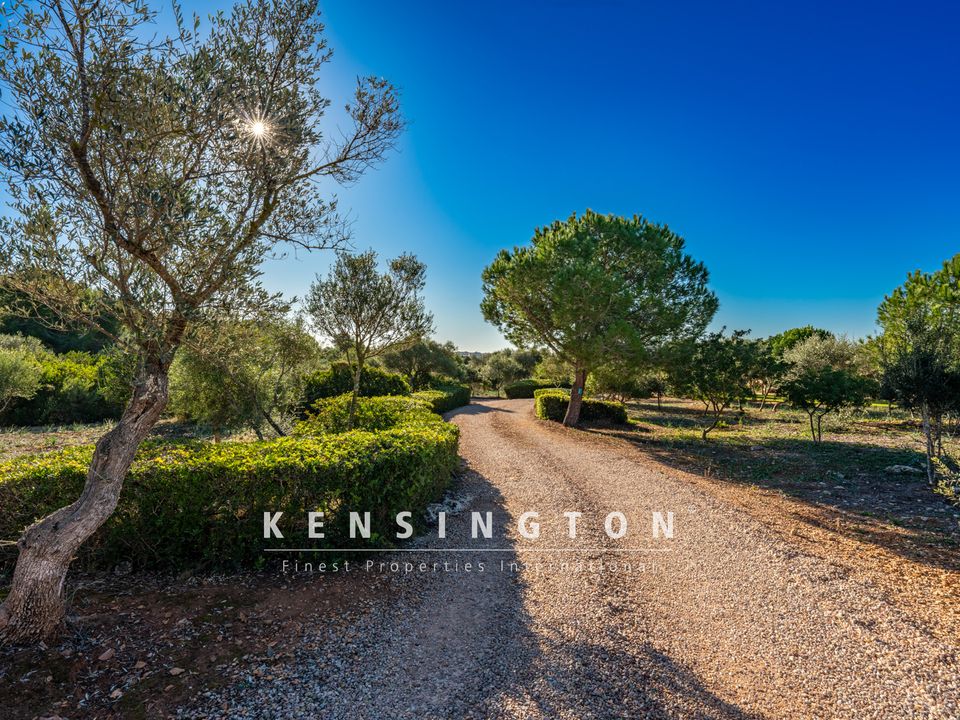 Landejendom i Manacor, Mallorca - foto 3