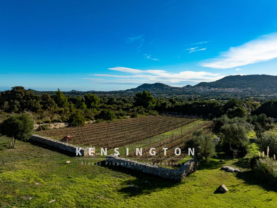 Herregård i Capdepera, Mallorca - bilde 3