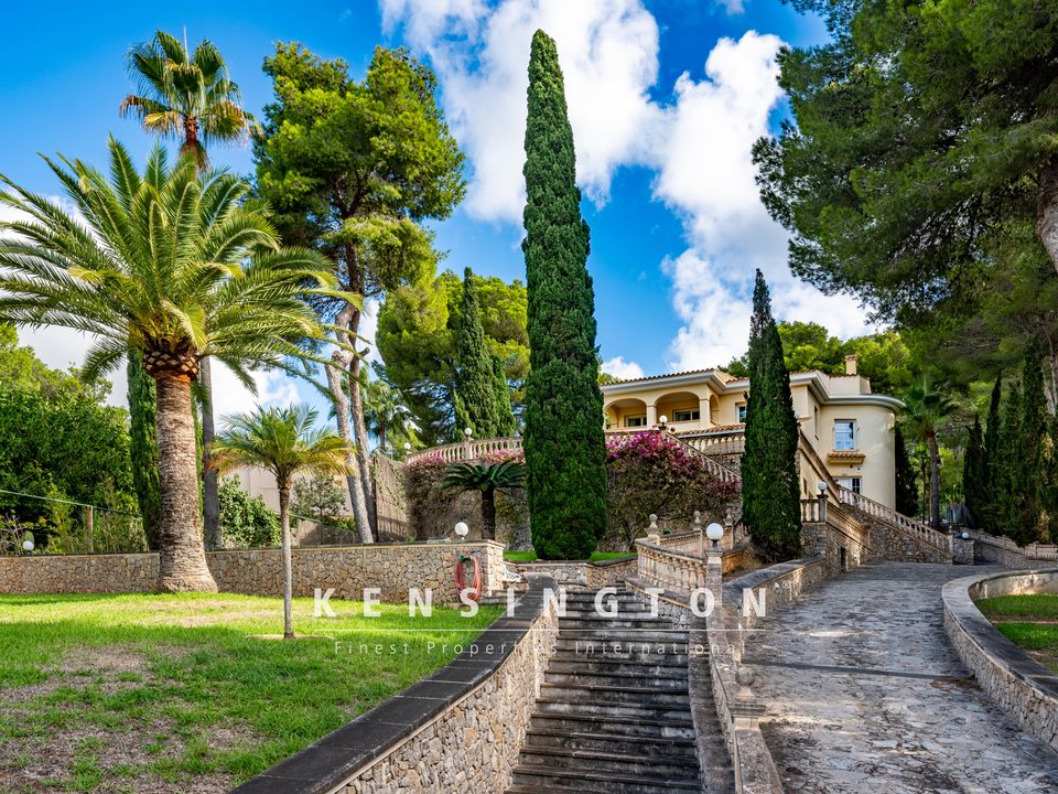 Villa i Costa De Los Pinos, Mallorca - foto 2