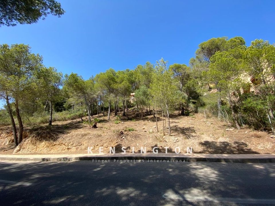 Helårsgrund i Capdepera, Mallorca - foto 1