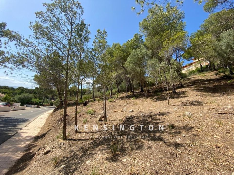Helårsgrund i Capdepera, Mallorca - foto 3