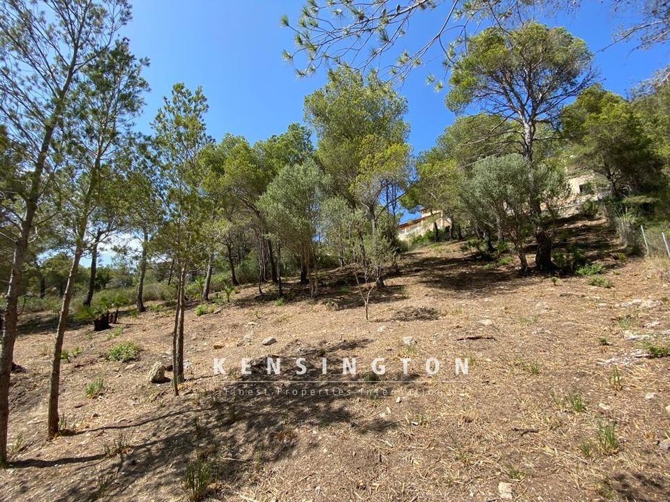 Helårsgrund i Capdepera, Mallorca - foto 4
