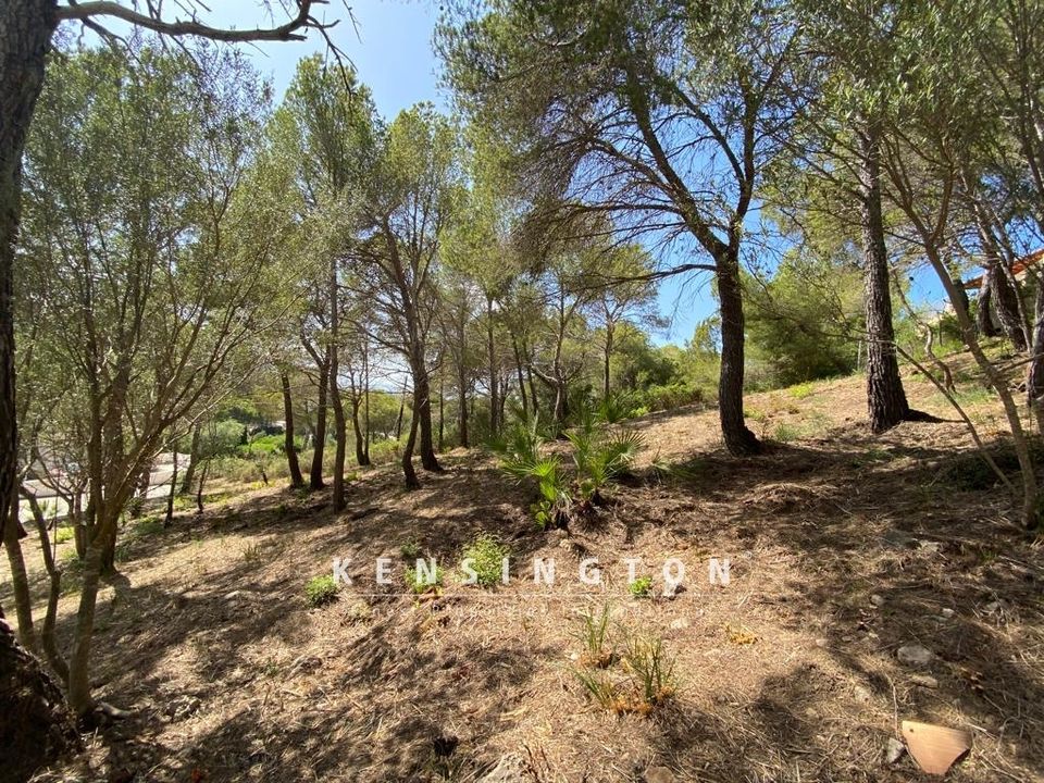 Helårsgrund i Capdepera, Mallorca - foto 5