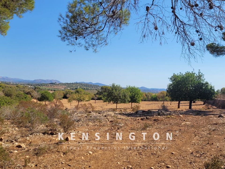 Helårsgrund i Manacor, Mallorca - foto 3
