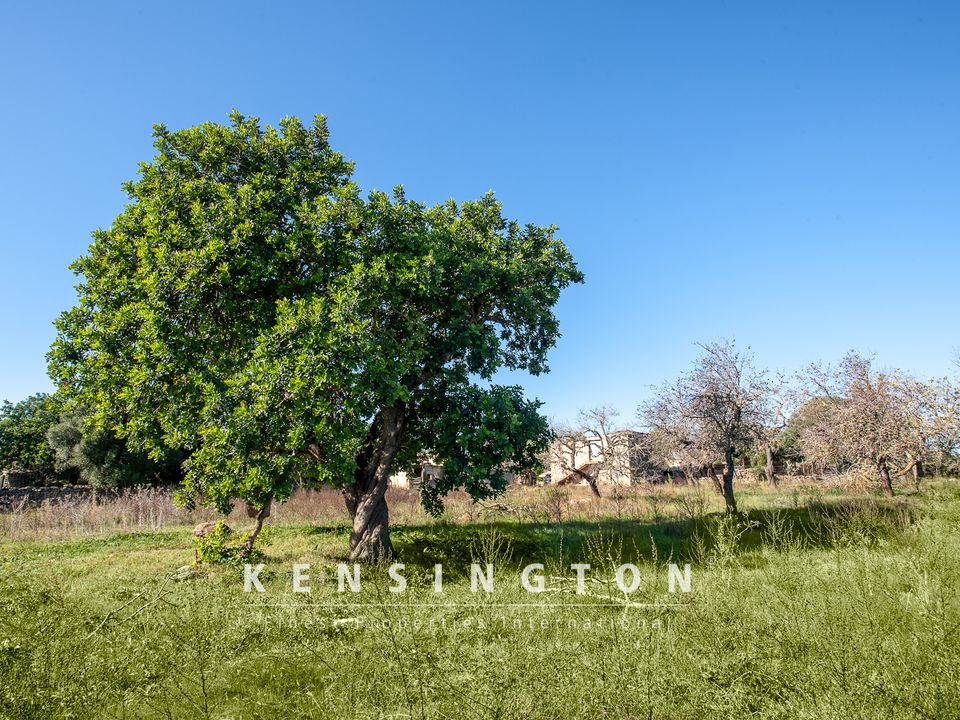 Helårsgrund i Arta, Mallorca - foto 4