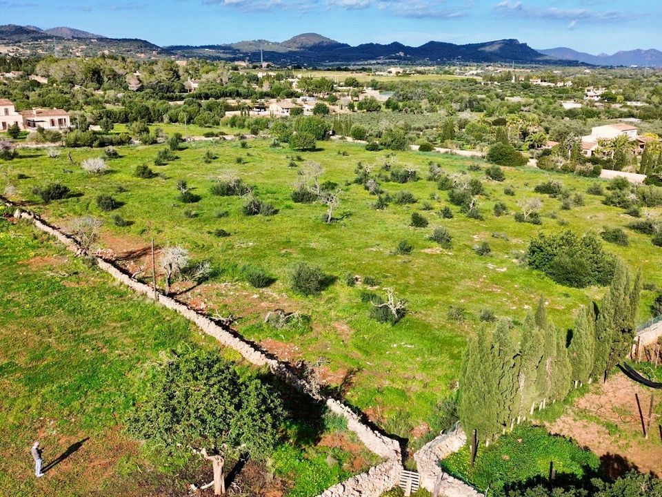 Helårsgrund i Son Carrio, Mallorca - foto 3
