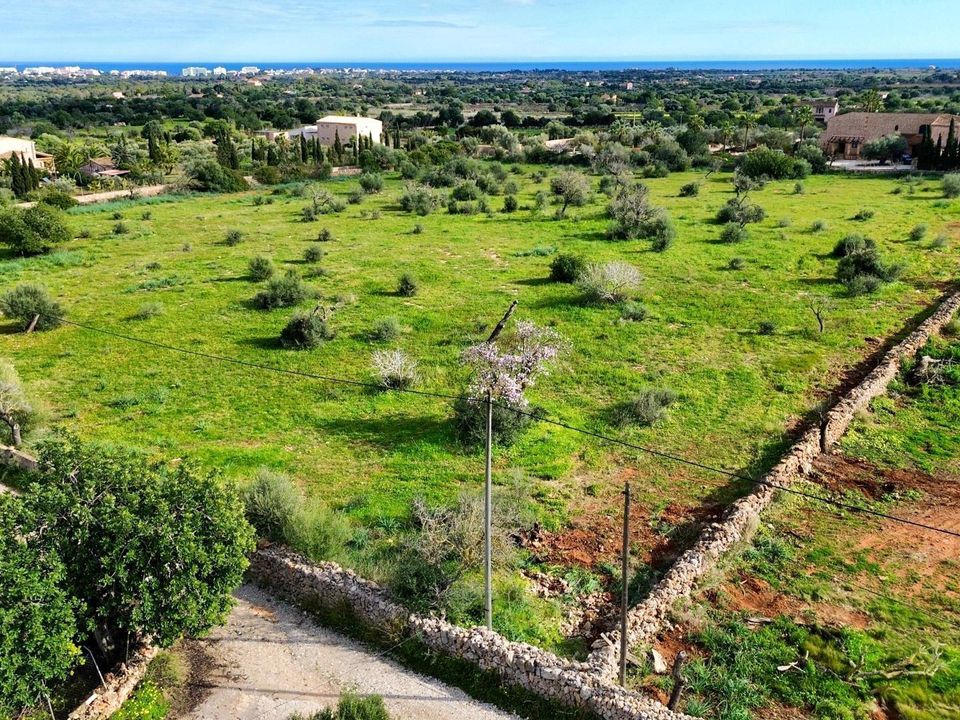 Helårsgrund i Son Carrio, Mallorca - foto 5