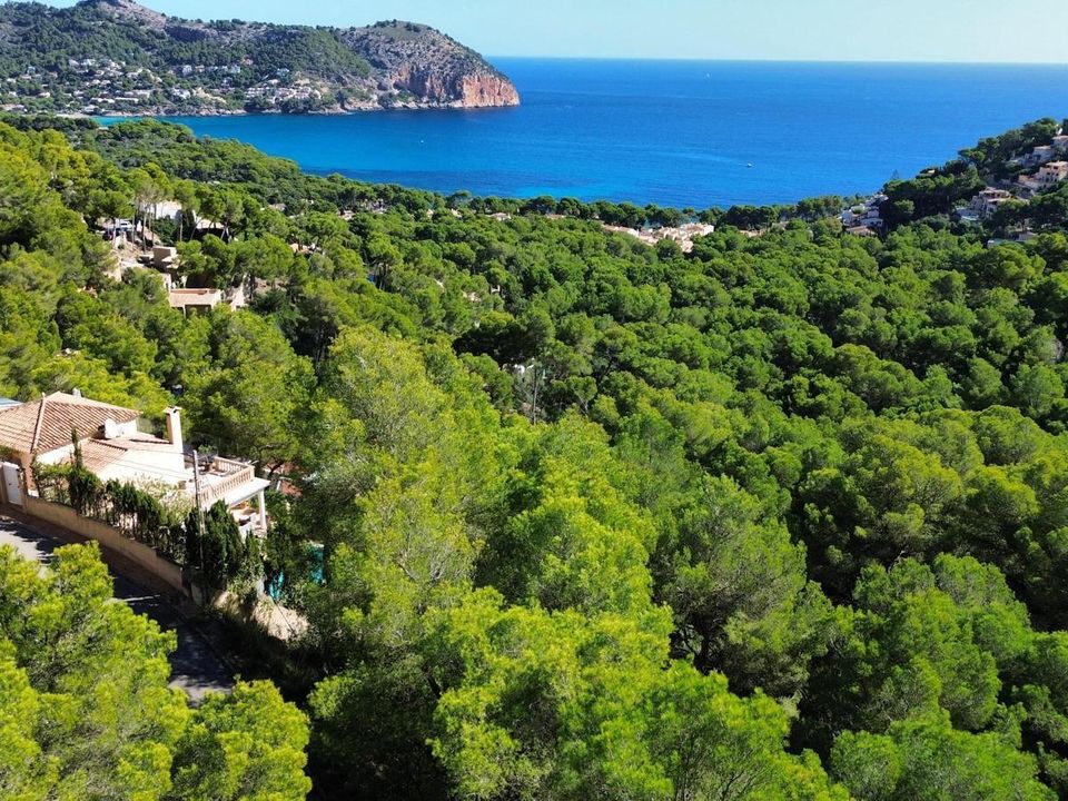 Helårsgrund i Canyamel, Mallorca - foto 2