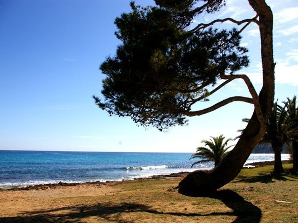 Helårsgrund i Canyamel, Mallorca - foto 4