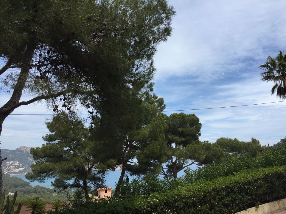 Helårsgrund i Canyamel, Mallorca - foto 1