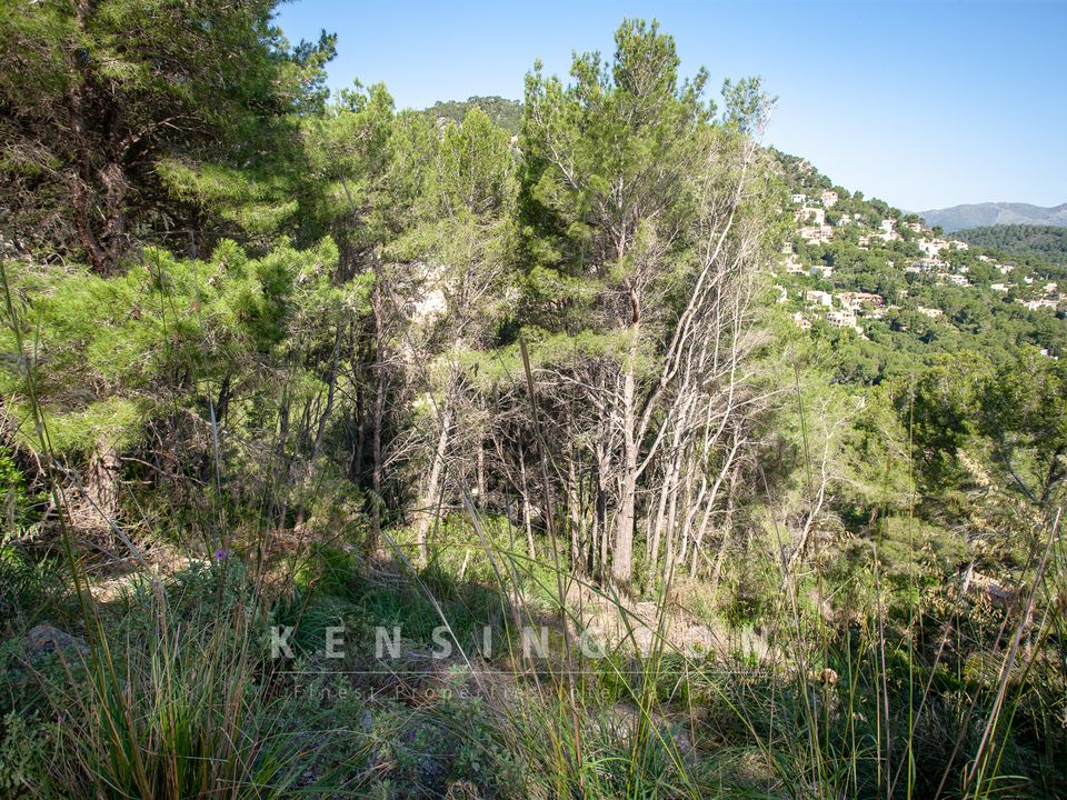 Helårsgrund i Canyamel, Mallorca - foto 5