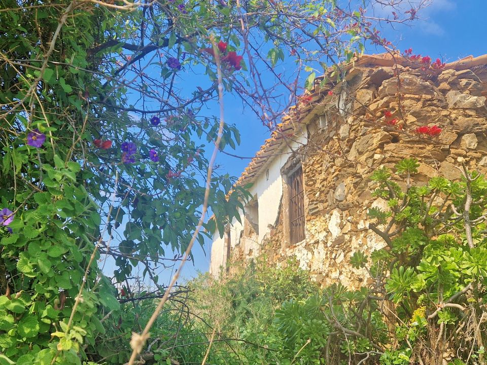 Landejendom i Velez Malaga, Malaga - foto 2