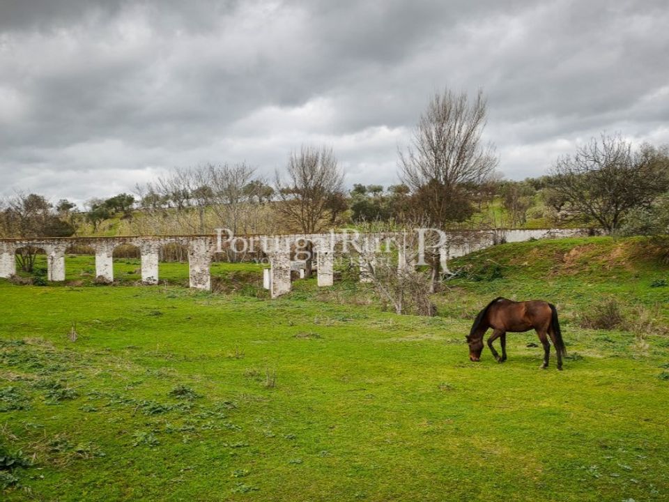 Farm i Campo Maior, Portalegre - foto 3