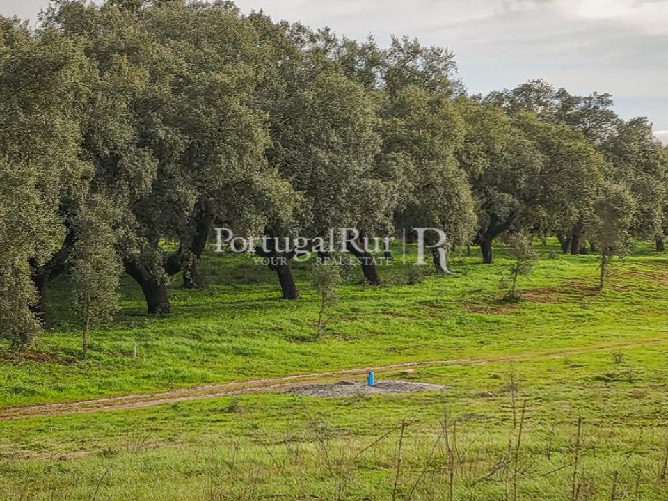 Helårsgrund i Elvas, Portalegre - foto 3