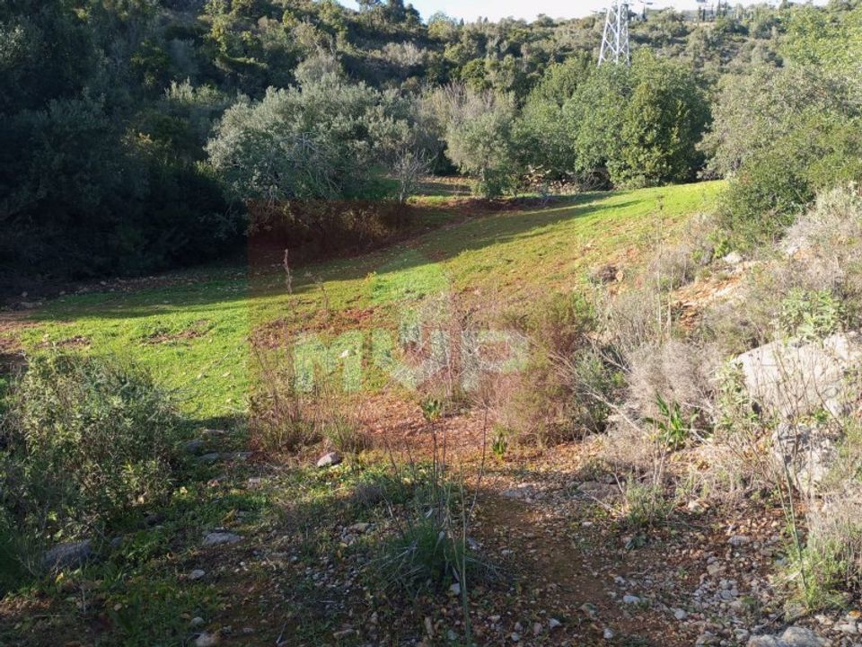 Helårsgrund i Estoi, Faro - foto 1