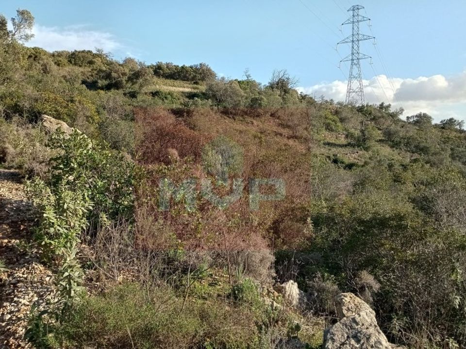 Helårsgrund i Estoi, Faro - foto 3