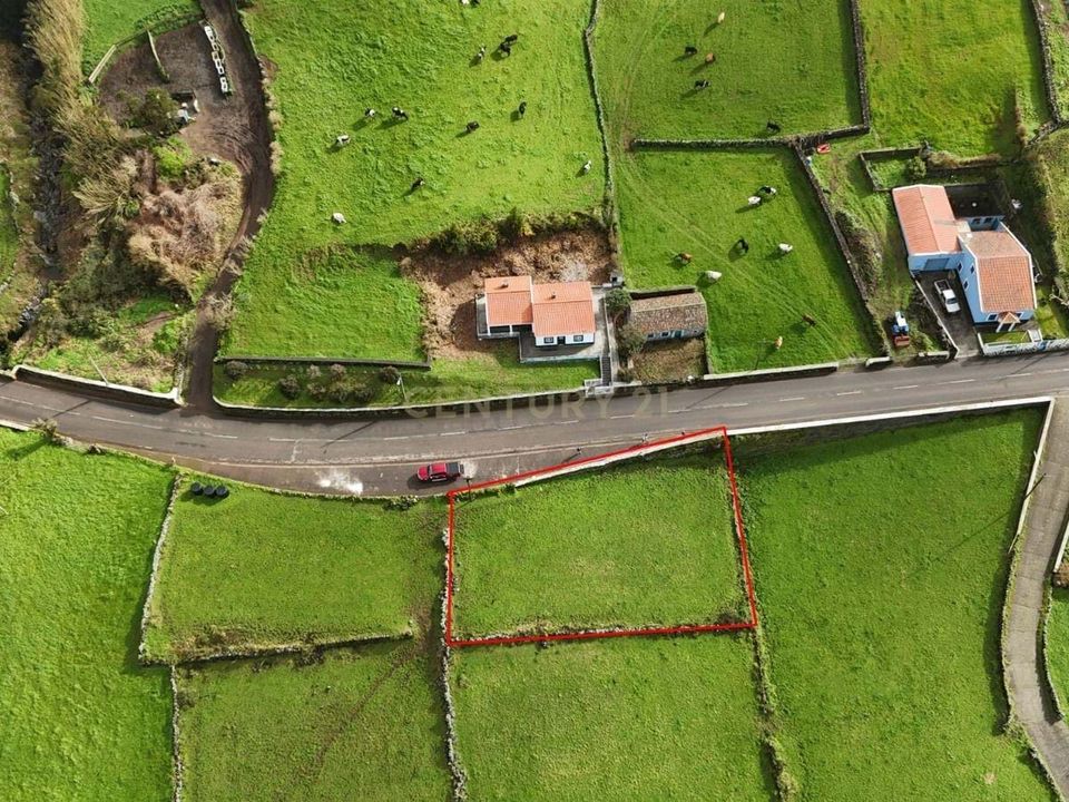 Tomt i Doze Ribeiras, Terceira - bilde 4