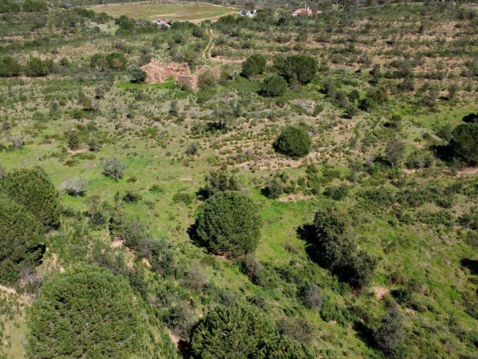 Helårsgrund i Almodovar, Beja - foto 4