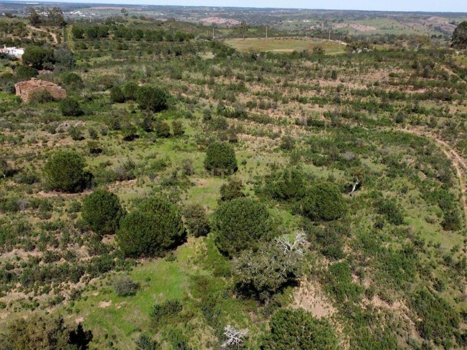 Helårsgrund i Almodovar, Beja - foto 5