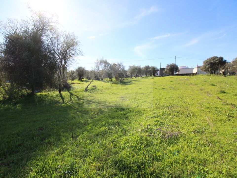 Helårsgrund i Sao Bras de Alportel, Faro - foto 2