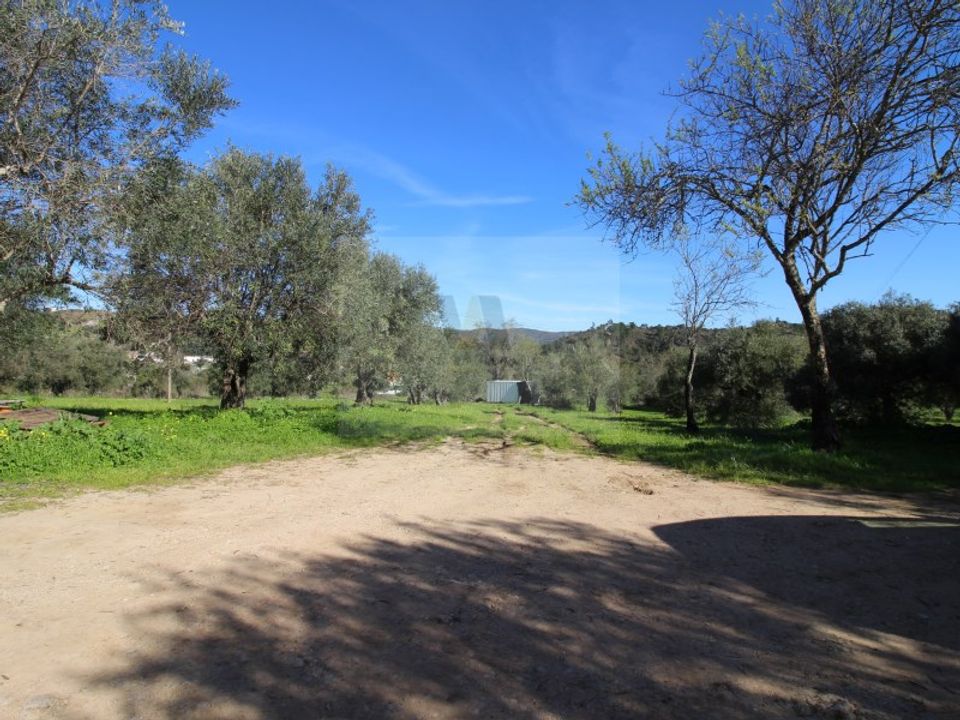 Helårsgrund i Sao Bras de Alportel, Faro - foto 5
