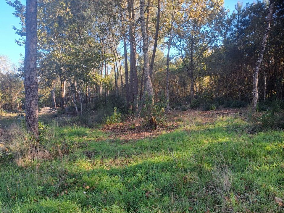 Helårsgrund i Saint-Sauveur, Gironde - foto 1