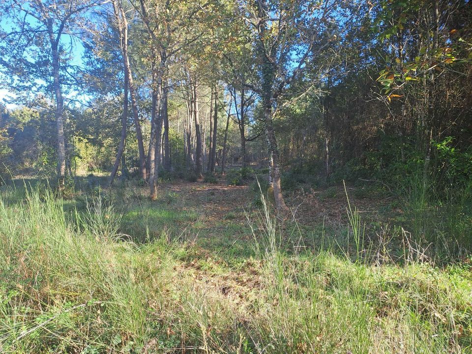Helårsgrund i Saint-Sauveur, Gironde - foto 2