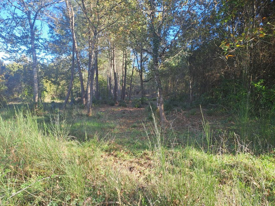 Helårsgrund i Saint-Sauveur, Gironde - foto 2