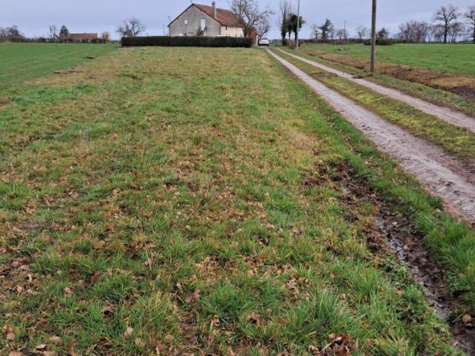 Farm hus i Perigny, Allier - foto 1