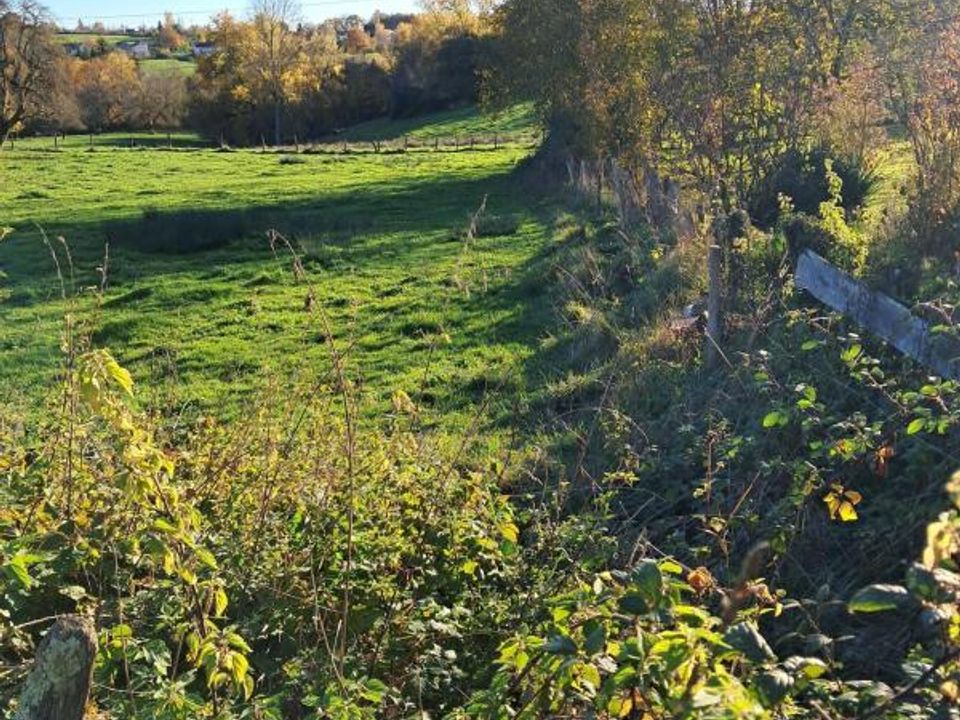 Helårsgrund i Abrest, Allier - foto 1