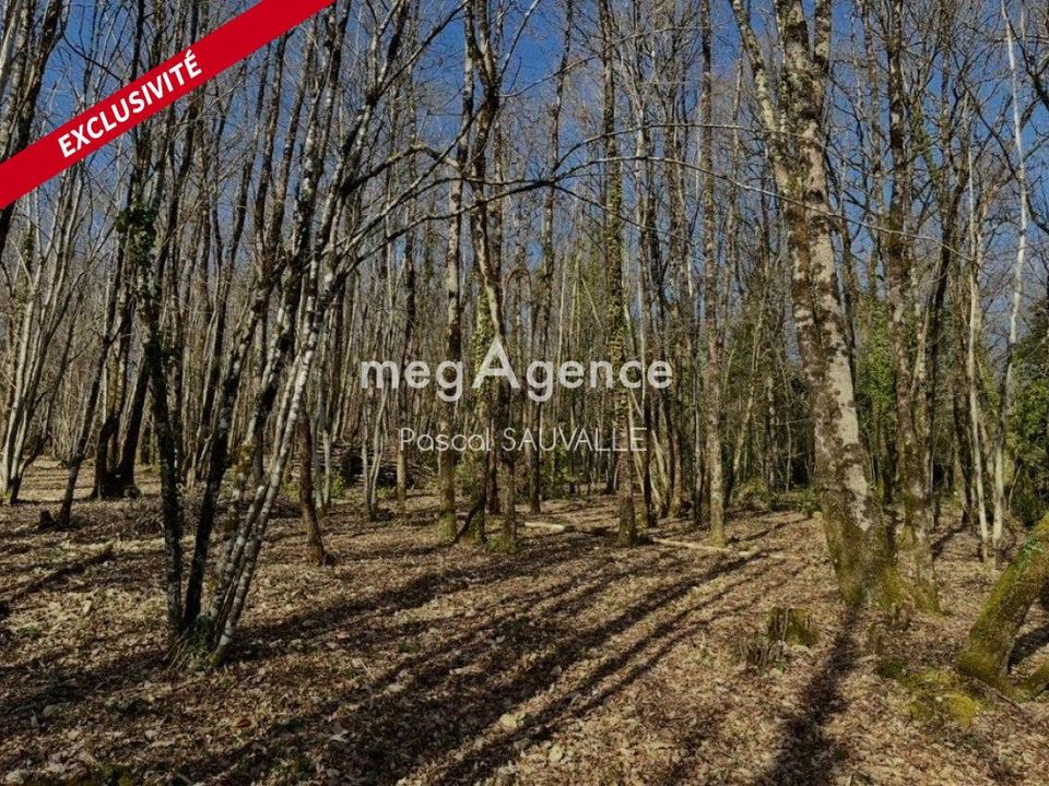 Terra em Chancelade, Dordogne - foto 1