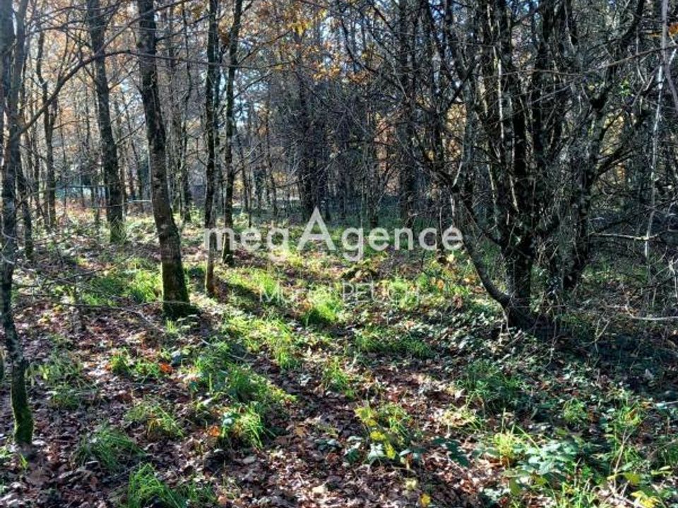 Tomt i Le Chastang, Correze - bilde 3