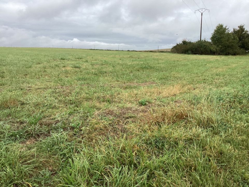 Tomt i Le Hamel, Somme - bilde 4