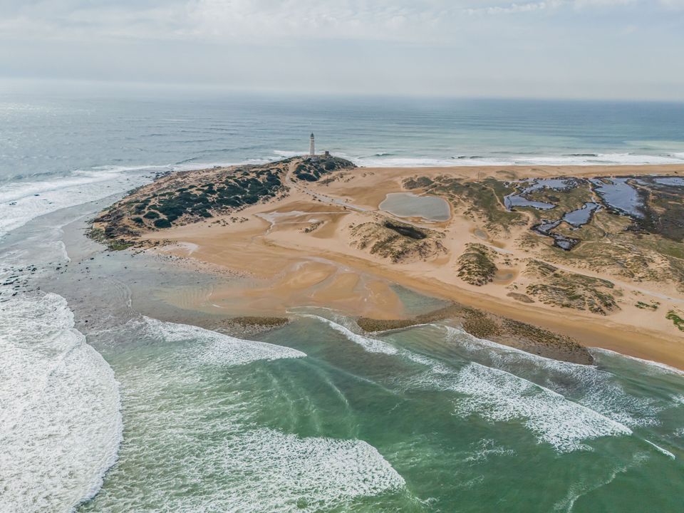 Finca a Barbate, Cadiz - foto 4