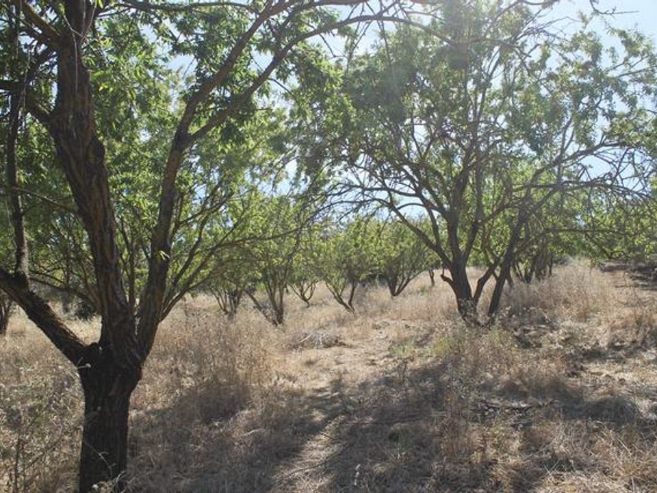 Helårsgrund i Cianciana, Agrigento - foto 3