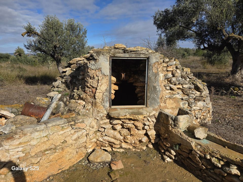 Gård i Tivissa, Tarragona - bilde 4