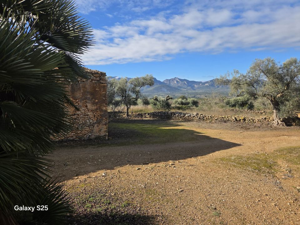 Gård i Tivissa, Tarragona - bilde 5