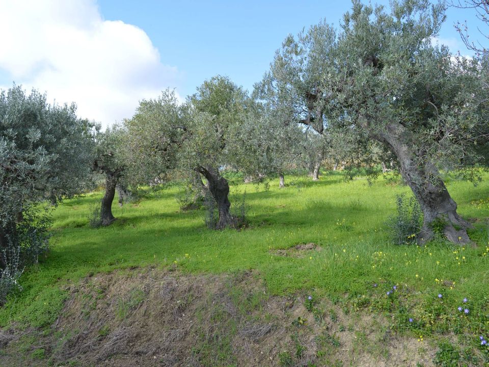 Helårsgrund i Vasto, Chieti - foto 2