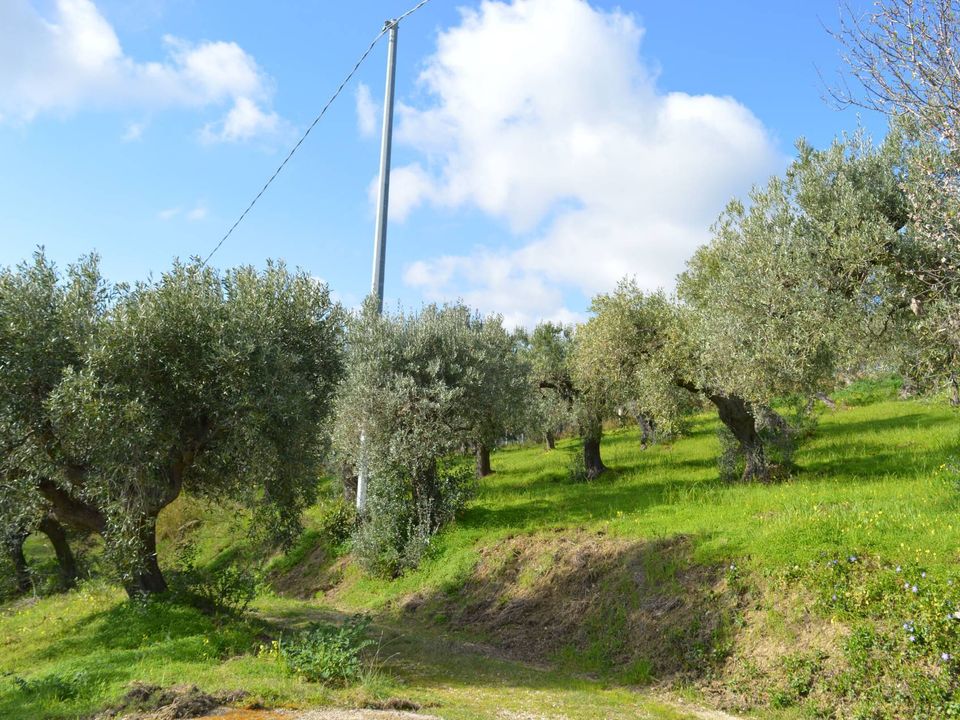 Helårsgrund i Vasto, Chieti - foto 3