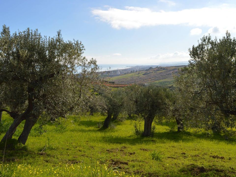 Helårsgrund i Vasto, Chieti - foto 4