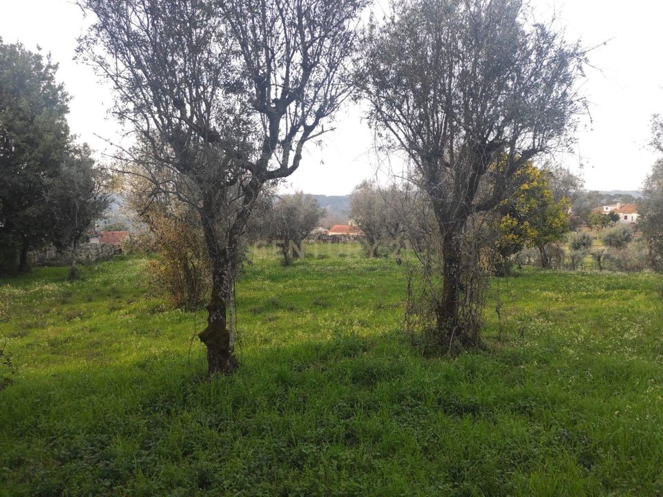 Helårsgrund i Viseu, Viseu - foto 3