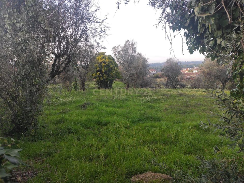 Helårsgrund i Viseu, Viseu - foto 1