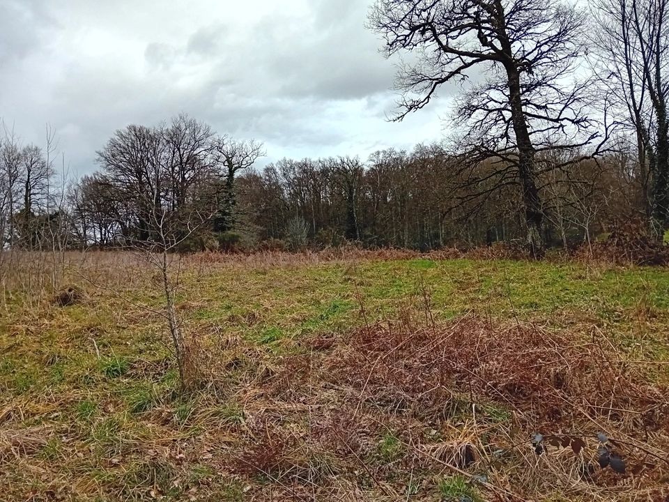 Helårsgrund i Maurs, Cantal - foto 3