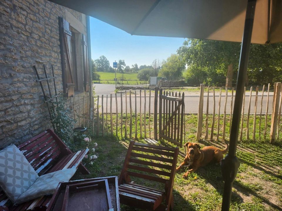 Landejendom i Ninville, Haute-Marne - foto 5